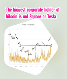 Biggest bitcoin holders