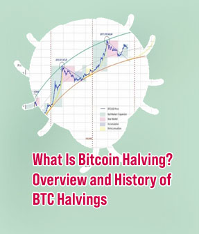 Bitcoin halving chart