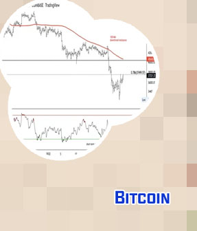 Bitcoin rising days