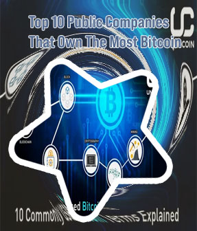 Who has the most bitcoin